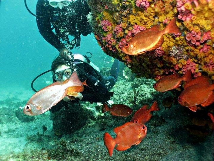 Buceo en Arraial do Cabo
