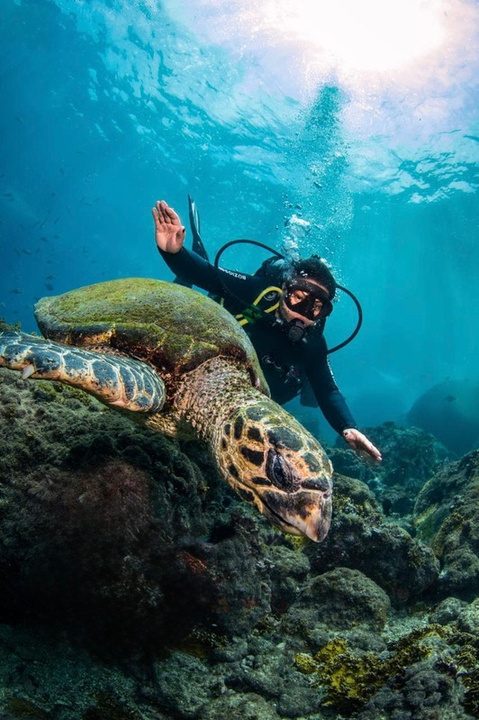 Buceo en Búzios