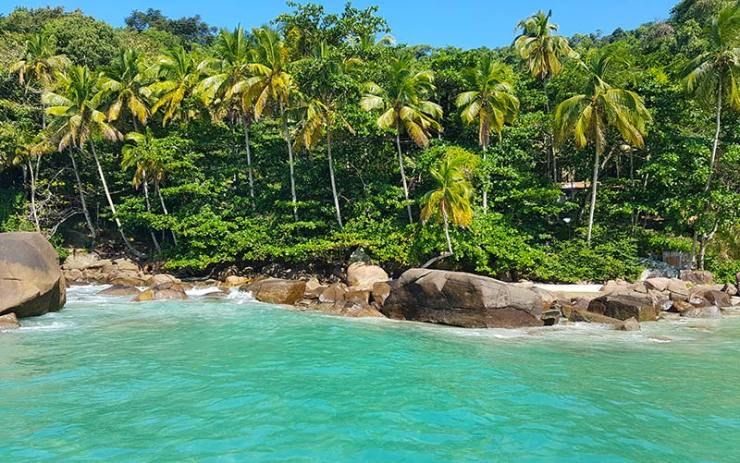 Selva atlántica y mar en Ilha Grande
